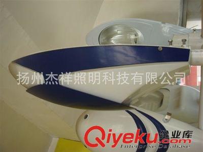 扬州杰祥照明科技 D10路灯点亮城市智慧之光